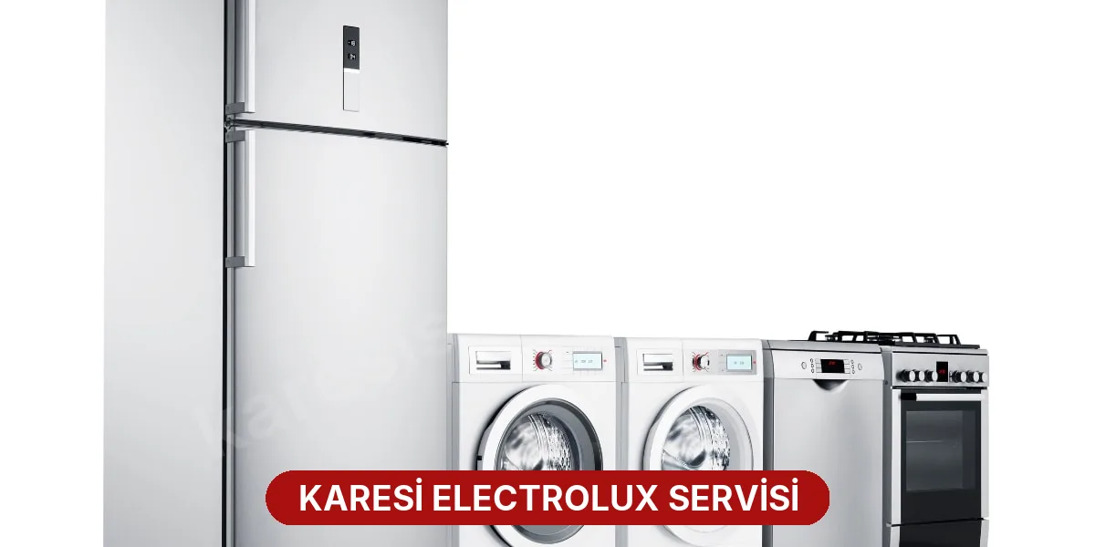 Karesi Electrolux Servisi