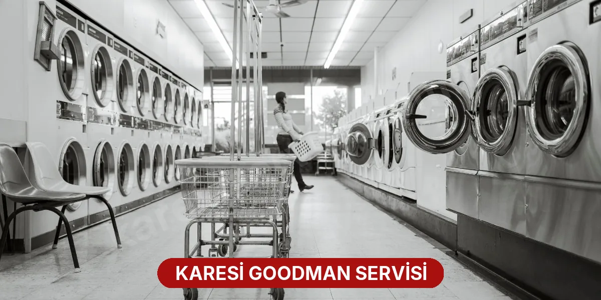 Karesi Goodman Servisi