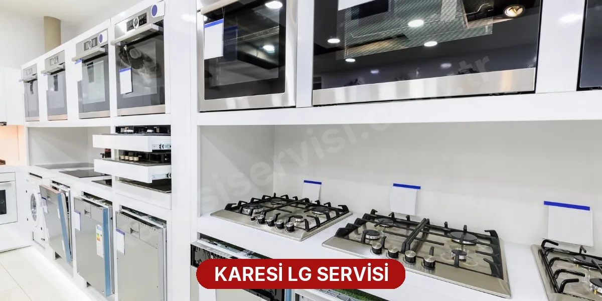 Karesi LG Servisi