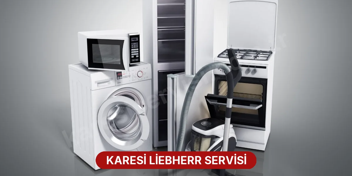 Karesi Liebherr Servisi